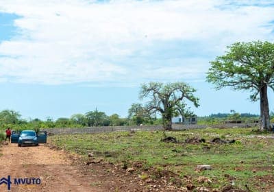 1/8 Acre in Diani